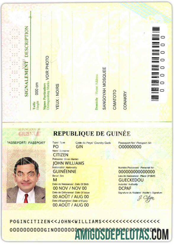 Passaporte da Guiné (2014 2018) amostra